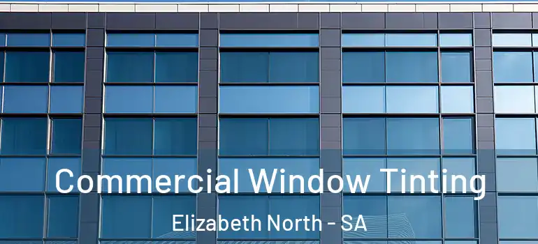 Commercial Window Tinting Elizabeth North - SA