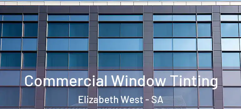 Commercial Window Tinting Elizabeth West - SA