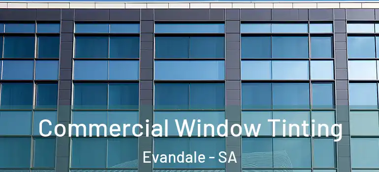 Commercial Window Tinting Evandale - SA