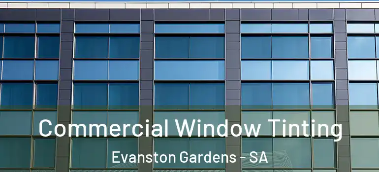 Commercial Window Tinting Evanston Gardens - SA