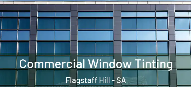 Commercial Window Tinting Flagstaff Hill - SA