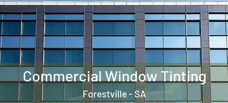 Commercial Window Tinting Forestville - SA