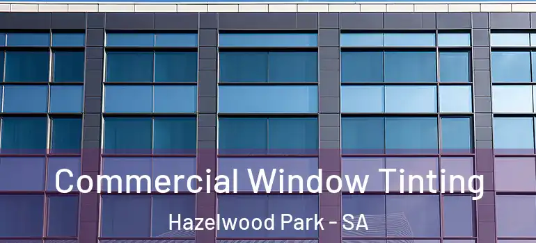 Commercial Window Tinting Hazelwood Park - SA