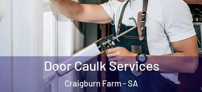 Door Caulk Services Craigburn Farm - SA