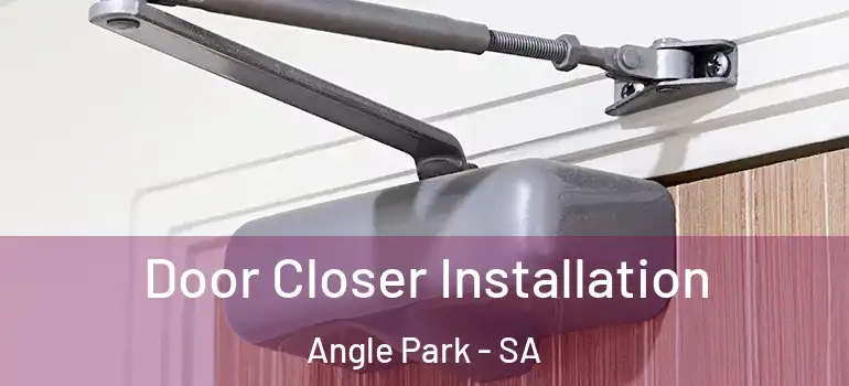 Door Closer Installation Angle Park - SA