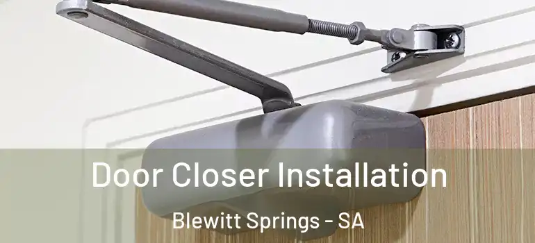 Door Closer Installation Blewitt Springs - SA