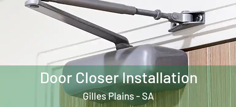 Door Closer Installation Gilles Plains - SA