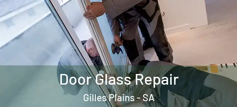 Door Glass Repair Gilles Plains - SA