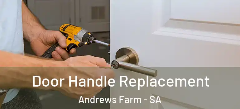  Door Handle Replacement Andrews Farm - SA