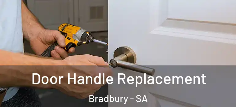 Door Handle Replacement Bradbury - SA