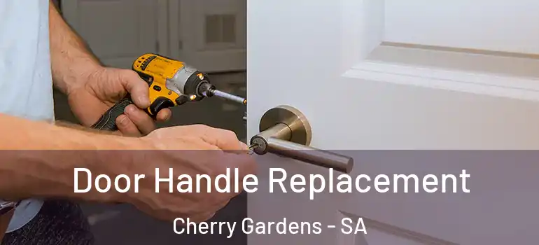 Door Handle Replacement Cherry Gardens - SA