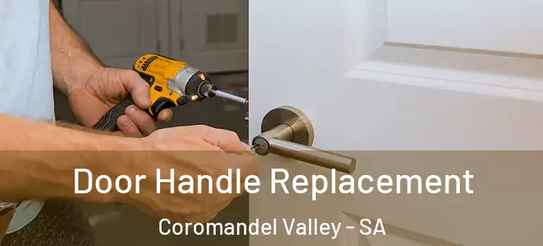 Door Handle Replacement Coromandel Valley - SA