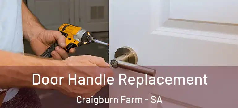  Door Handle Replacement Craigburn Farm - SA