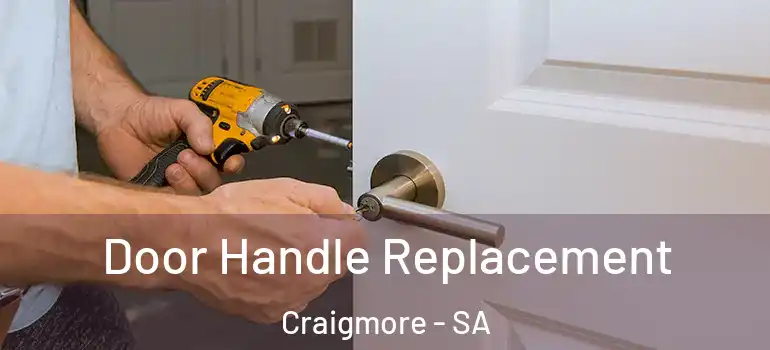 Door Handle Replacement Craigmore - SA