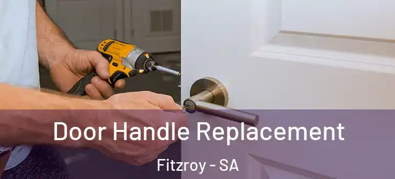  Door Handle Replacement Fitzroy - SA