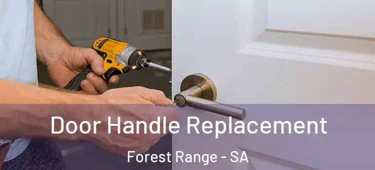 Door Handle Replacement Forest Range - SA