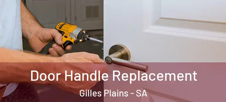 Door Handle Replacement Gilles Plains - SA