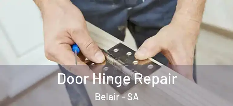 Door Hinge Repair Belair - SA