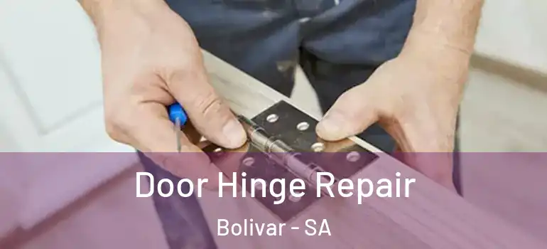 Door Hinge Repair Bolivar - SA