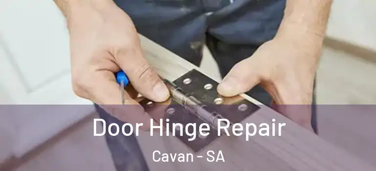 Door Hinge Repair Cavan - SA