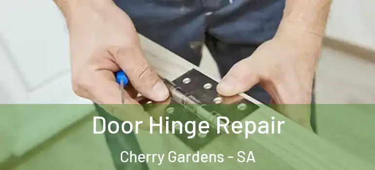 Door Hinge Repair Cherry Gardens - SA
