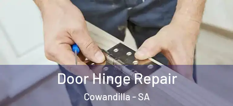 Door Hinge Repair Cowandilla - SA