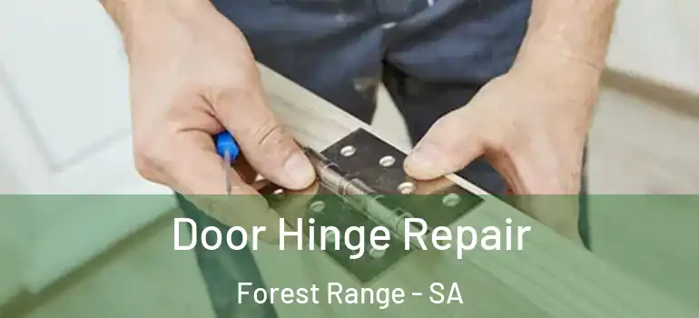 Door Hinge Repair Forest Range - SA