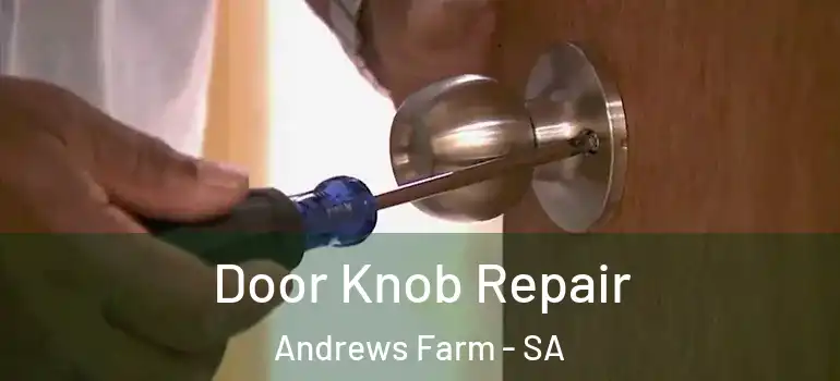 Door Knob Repair Andrews Farm - SA