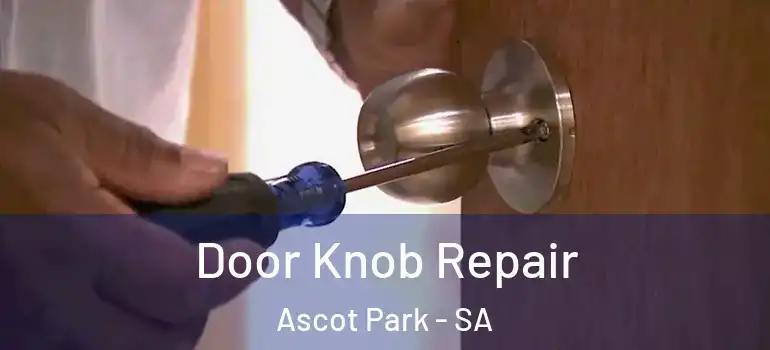 Door Knob Repair Ascot Park - SA