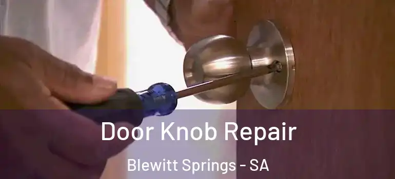 Door Knob Repair Blewitt Springs - SA