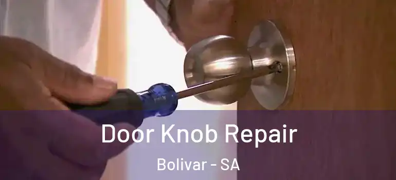 Door Knob Repair Bolivar - SA