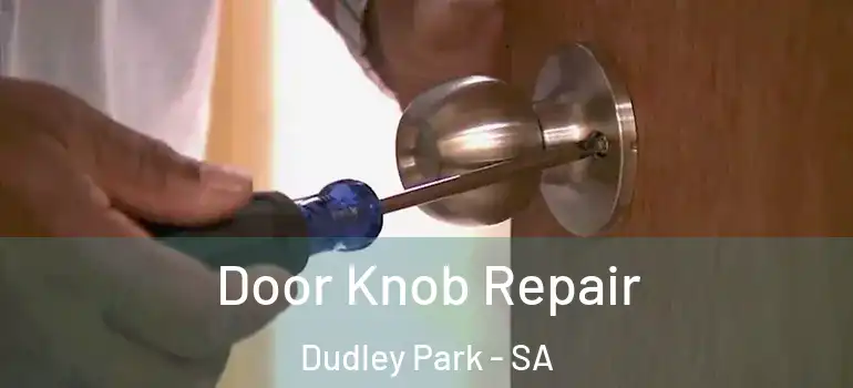 Door Knob Repair Dudley Park - SA