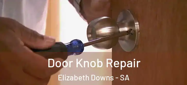 Door Knob Repair Elizabeth Downs - SA
