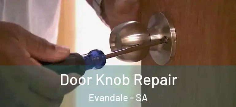 Door Knob Repair Evandale - SA