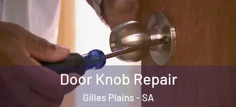 Door Knob Repair Gilles Plains - SA