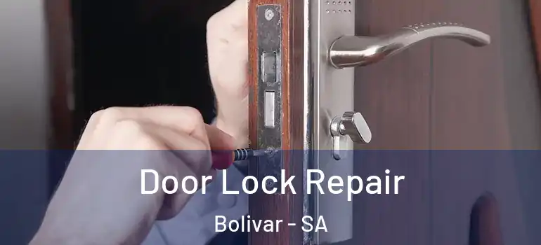 Door Lock Repair Bolivar - SA