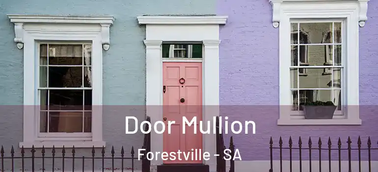 Door Mullion Forestville - SA