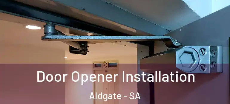 Door Opener Installation Aldgate - SA