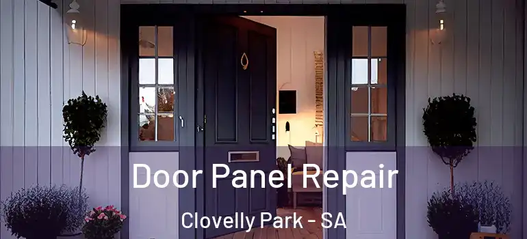 Door Panel Repair Clovelly Park - SA