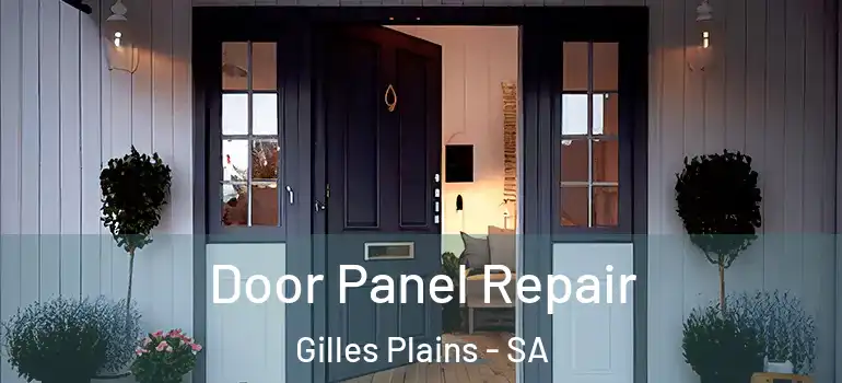 Door Panel Repair Gilles Plains - SA