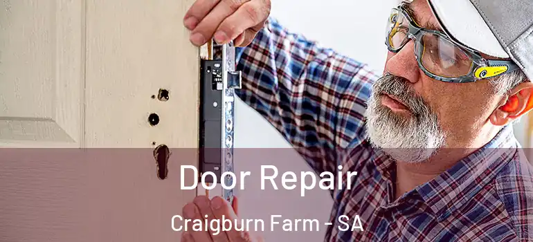 Door Repair Craigburn Farm - SA