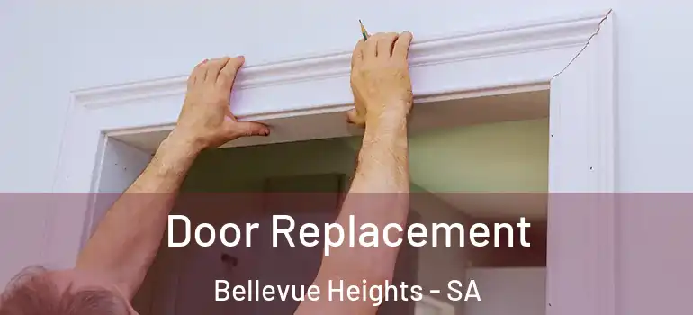 Door Replacement Bellevue Heights - SA