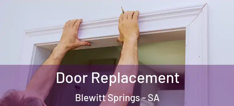 Door Replacement Blewitt Springs - SA