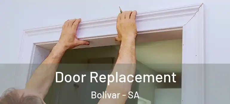 Door Replacement Bolivar - SA