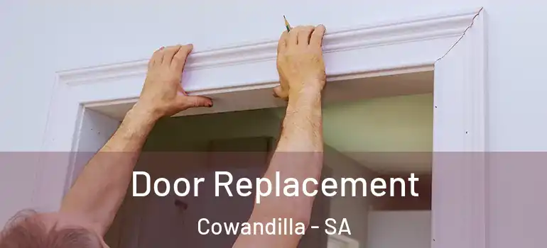Door Replacement Cowandilla - SA