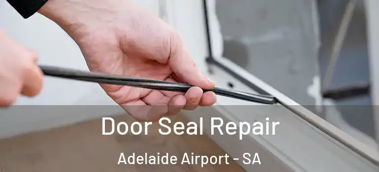 Door Seal Repair Adelaide Airport - SA