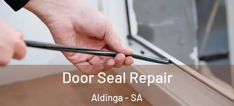 Door Seal Repair Aldinga - SA