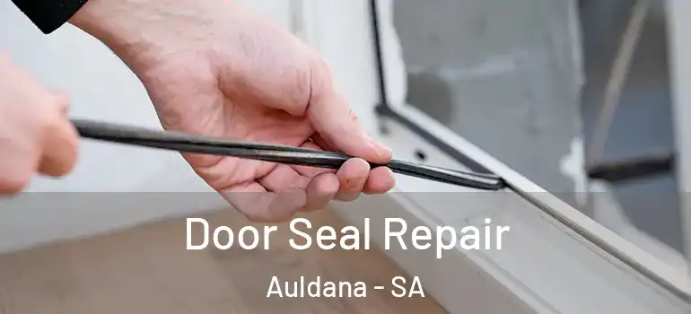 Door Seal Repair Auldana - SA