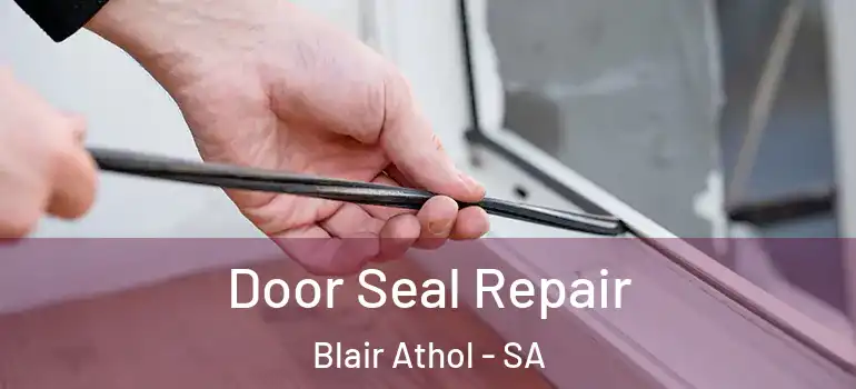 Door Seal Repair Blair Athol - SA
