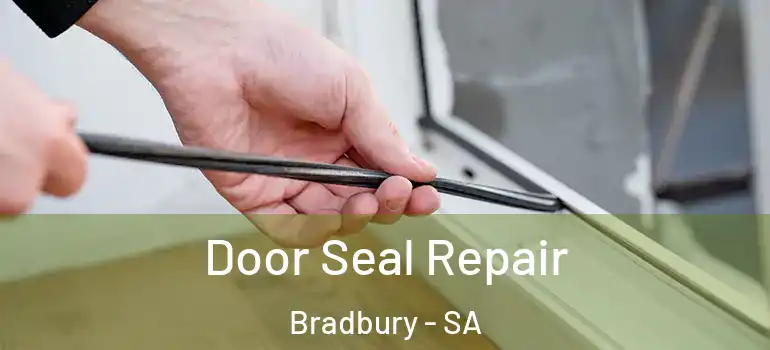 Door Seal Repair Bradbury - SA